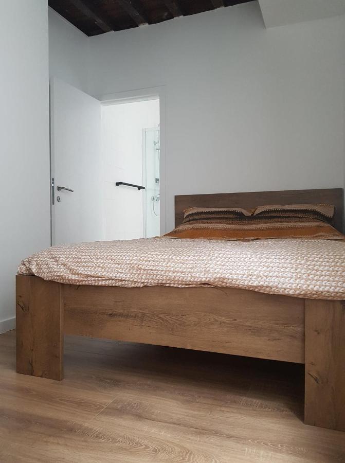 Al In Den Aap Gelogeerd? Apartment Mechelen Bagian luar foto