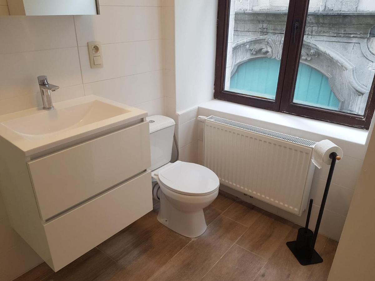 Al In Den Aap Gelogeerd? Apartment Mechelen Bagian luar foto